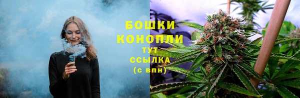 ECSTASY Майский
