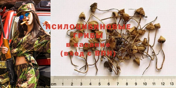 твердый Магас
