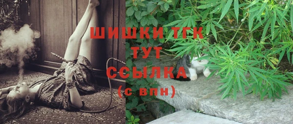ECSTASY Майский