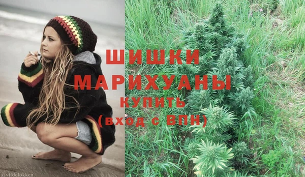 твердый Магас