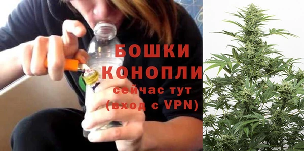 твердый Магас