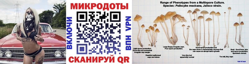 Галлюциногенные грибы Psilocybine cubensis  Купить  Павлово 